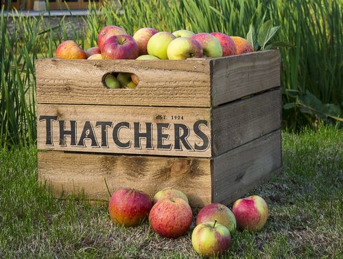 thatchers cider