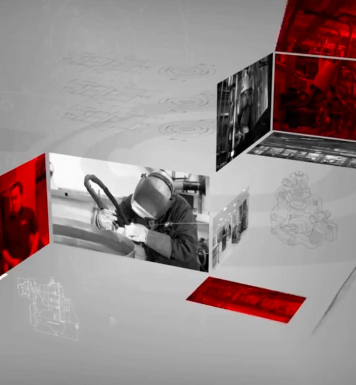 Case Studies