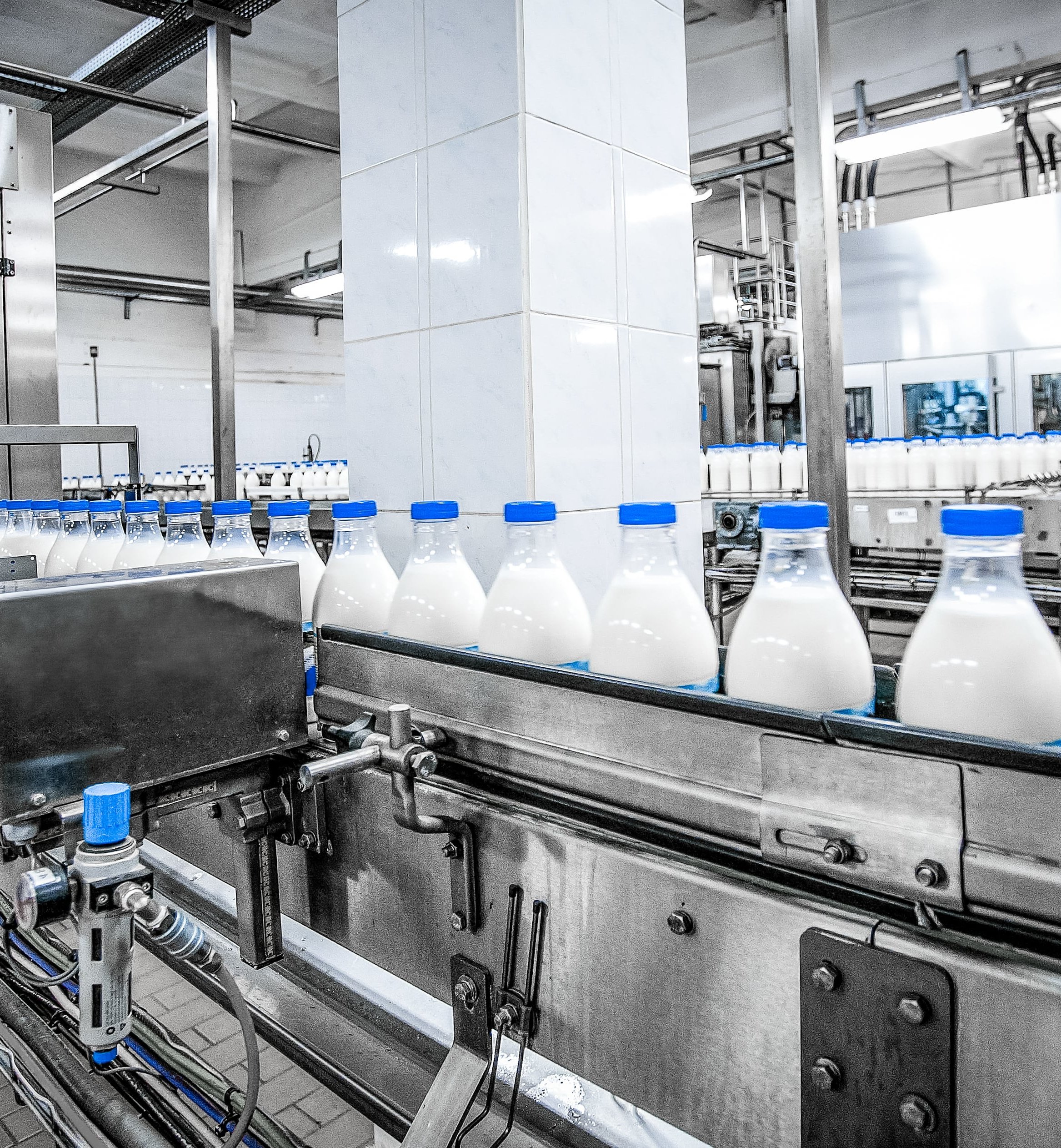 dairy manufacturing