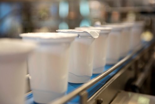 yogurt manufacturer